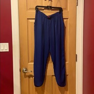 Silky Sheer Pants from AKIRA